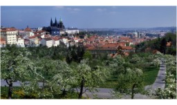 Praha